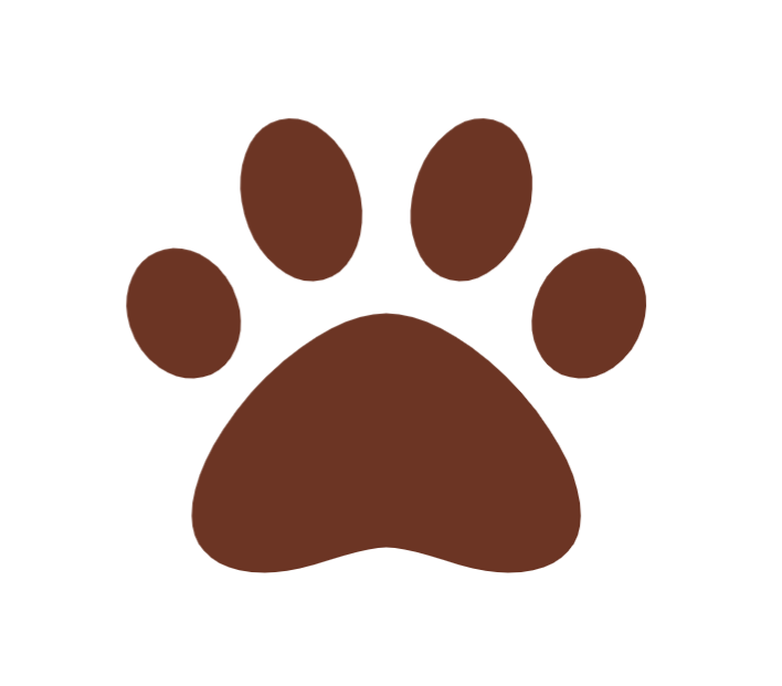 Icon of admin